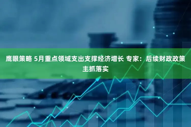 鹰眼策略 5月重点领域支出支撑经济增长 专家：后续财政政策主抓落实