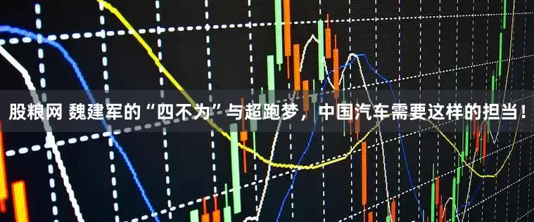 股粮网 魏建军的“四不为”与超跑梦，中国汽车需要这样的担当！