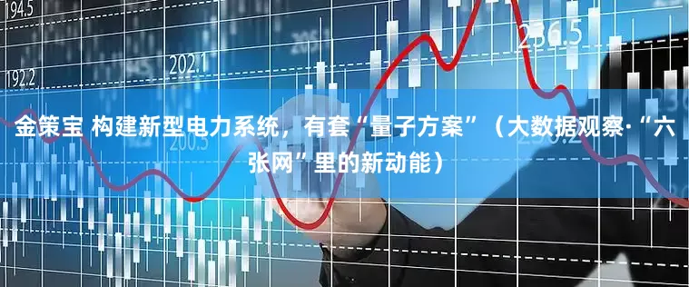 金策宝 构建新型电力系统，有套“量子方案”（大数据观察·“六张网”里的新动能）